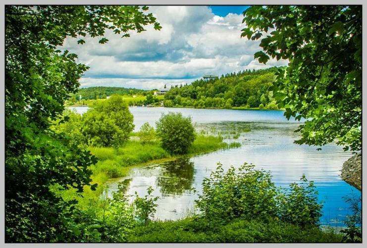 Bungalow direkt am Wasser Zeulenroda-Triebes Exterior foto