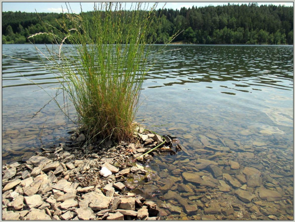 Bungalow direkt am Wasser Zeulenroda-Triebes Exterior foto